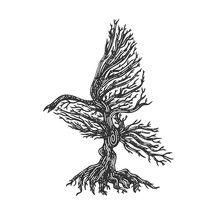 Tree In Shape Of Bird Without Leaves Sketch Engraving Vector Illustration. T-shirt Apparel Print Design. Scratch Board Imitation. Black And White Hand Drawn Image.