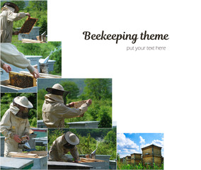 Wall Mural - Photo collage on beekeeping theme. Apiary. The beekeeper works in the apiary near the hives with bees. Beekeeping concept.