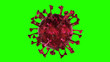 Corona COVID-19 Alert SOS on green screen. Pandemic bacteria pathogen medical health risk, immunology, virology, epidemiology concept. Microscope virus cell. 3D illustration