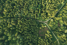 Aerial View Of Roads Intersecting In Forest