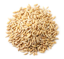 Barley Grain Top View, On A White Background. Isolated, The View From Top