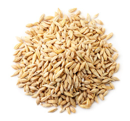 Barley grain top view, on a white background. Isolated, the view from top