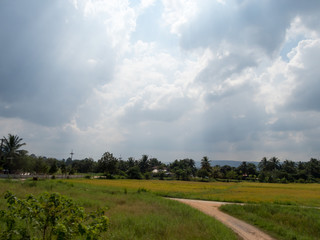 Meadows and fields In the sky there are clouds