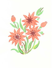 Drawing With Watercolors: A Plant With Large Orange Flowers.