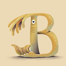 Cephalopod - B