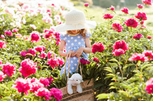 Cute Little Girl In A Straw Hat Among Blossoming Pink Peonies In The Garden