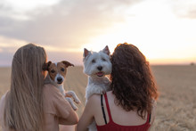 Friends With Dogs On Nature With Sunset.