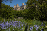 Fototapeta Nowy Jork - central park