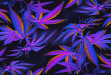 Colorful, Vibrant And Funky, Abstract Glitch Cannabis/marijuana Background