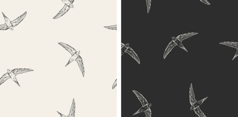 Set of 2 seamless vector pattern with flying swallows, swifts. Doodle dark background with birds