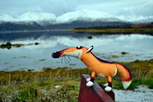 Puppet Fox Is Resting In The Picnic Area On The Bank Of The Mountain Lake