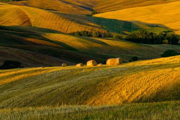 Wall Mural - Late summer aerial landscape of valley in Tuscany