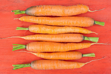 carrots with green stems on red wooden table, cooking vegetarian dish, fresh vegetables from farm