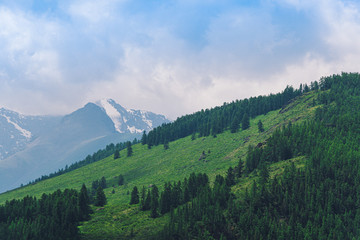 Wall Mural - silhouette of mountain range in haze on horizon in mountain valley. Hiking in wild