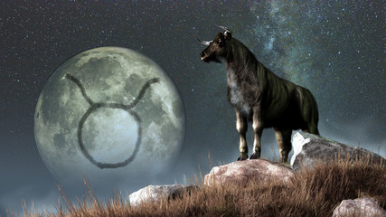 taurus is the second sign of the zodiac. people born between april 19th and may 20th have this astro