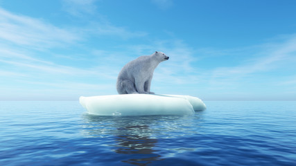 Wall Mural - polar bear concept