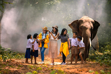 japanese tourists and thai tour guides are watching elephants in the jungle. lost tourist asking for