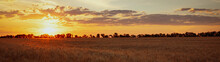 Sunset Over The Field At Golden Hour Beautiful Summer Landscape Web Banner Panoramic