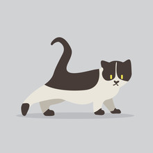 Cat Vector Cartoon Illustration. Cute Friendly Welsh Cat, Isolated On Grey. Pets, Animals, Cat Theme Design Element In Contemporary Simple Flat Style