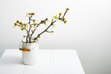 Wall Mural - cherry flower blossom branch in old enamel milk canister at white wooden table, bright wall, home decoration springtime