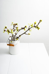 Wall Mural - cherry flower blossom branch in old enamel milk canister at white wooden table, bright wall, home decoration springtime