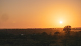Fototapeta Sawanna - Sunrise in kruger national park south africa