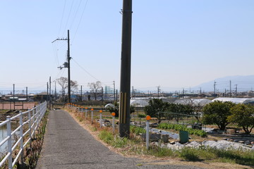 Wall Mural - 田園風景