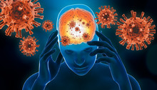 Brain Viral Infection 3D Rendering Illustration. Brain Inflammation With Red Generic Virus Cells. Neurological Diseases Like Encephalitis, Meningitis, Alzheimer's, Parkinson's, Narcolepsy Concepts.
