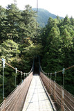 Fototapeta Mosty linowy / wiszący - Okutama Mukashi Michi Hike - Japan