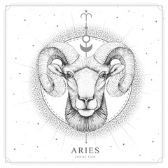 Wall Mural - Modern magic witchcraft card with astrology Aries zodiac sign. Realistic hand drawing ram or mouflon head