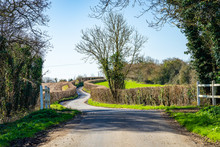 English Country Lane In Spring
