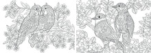 Coloring Pages. Couple Of Lovely Birds In Floral Garden. 