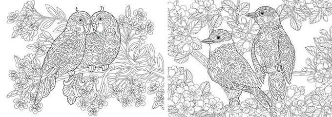 Wall Mural - Coloring pages. Couple of lovely birds in floral garden. 