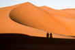 Schatten in den Dünen in der Wüste in den Vereinten arabischen Emirate.