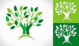 Fototapeta  - logo arbre mains solidarité diversité vert