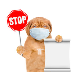 Puppy wearing medical mask shows stop sign and holds empty list. Isolated on white background