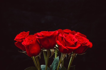 Poster - bouquet of beautiful red roses on a black background