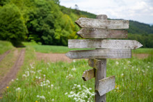 Old Weathered And Mossy Signpost With Path And Forest Landscape In The Blurred Background