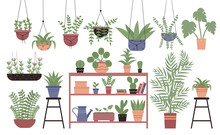 Great Amount Variety Plants In Pots Flat Design Vector Illustration Set Isolated On White Background. Different Indoor Space Size Decoration Elements. Houseplants On Stand, On Shelves, Hanging, Floor
