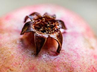 Whole ripe pomegranate closeup. Fresh raw fruit