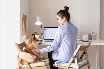 Home work during quarantine. Coronavirus pandemic. Home Office workplace with woman and cute Shiba inu dog