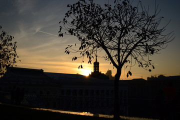 Sky over the city at sunset and a tree in front, town ​​silhouette in backlight.