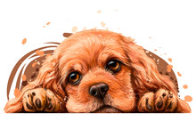 American Cocker Spaniel. Sticker On The Wall. Realistic, Hand-drawn, Artistic, Color Portrait Of An American Cocker Spaniel Puppy On A White Background In Watercolor Style.