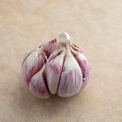 Wall Mural - White and purple garlic head on a light brown background