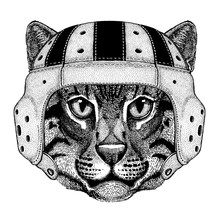 Cat. Portrait Of Animal Wearing Rugby Helmet
