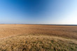 © skovalsky - The Great Hungarian Plain on an autumn day