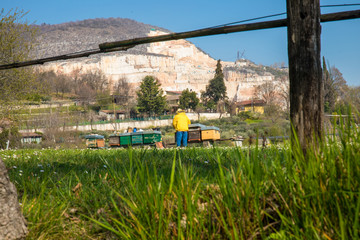 beekeeper checks honey, in the background Botticino marble caves