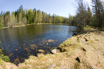 Sticker - lake in forest