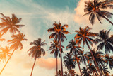 Fototapeta Morze - Copy space of tropical palm tree with sun light on sky background.