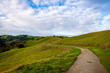 Wall Mural - The Hiking Trails of Del Valle Regional Park 